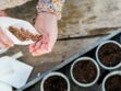 Jardin : 4 bons plans pour dénicher des graines gratuites