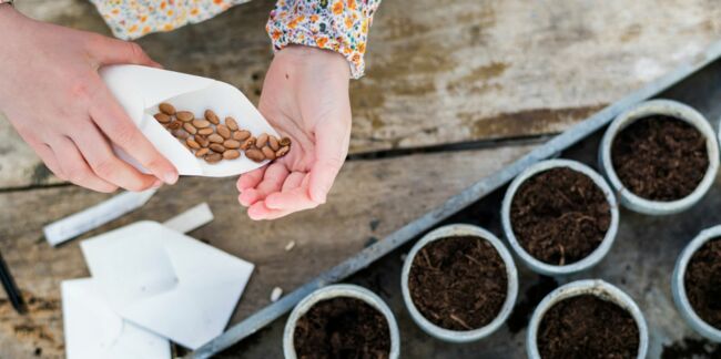 Jardin : 4 bons plans pour dénicher des graines gratuites