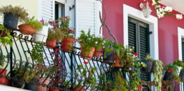 Fleurir son balcon : y a-t-il des règles à respecter ?