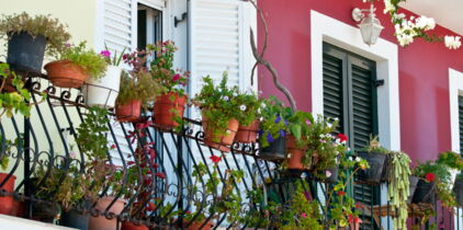 Fleurir son balcon : y a-t-il des règles à respecter ?