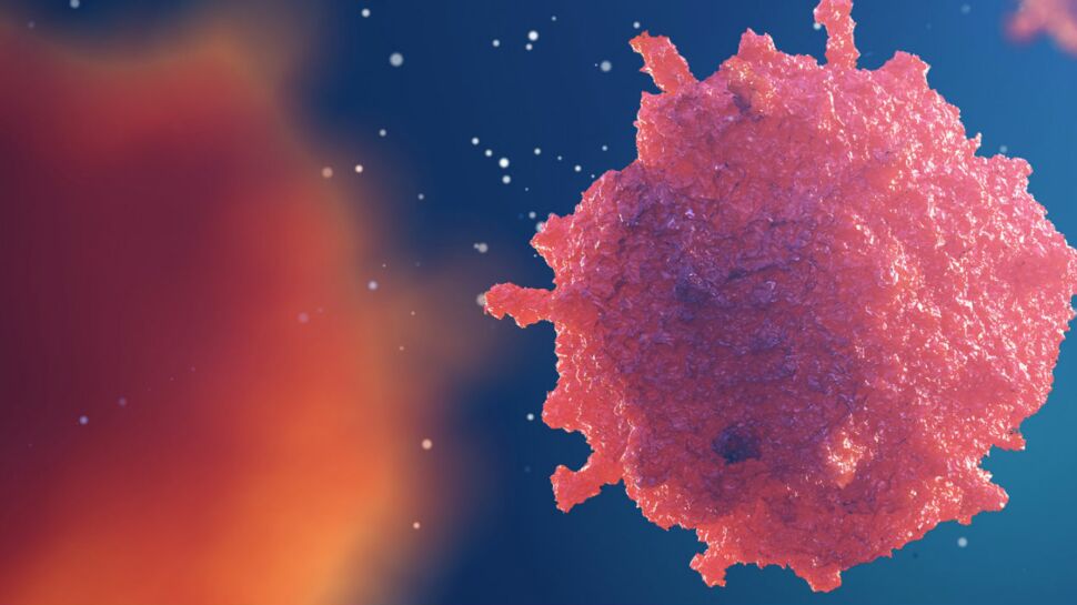 Cancer : une découverte révolutionnaire pour traiter les leucémies