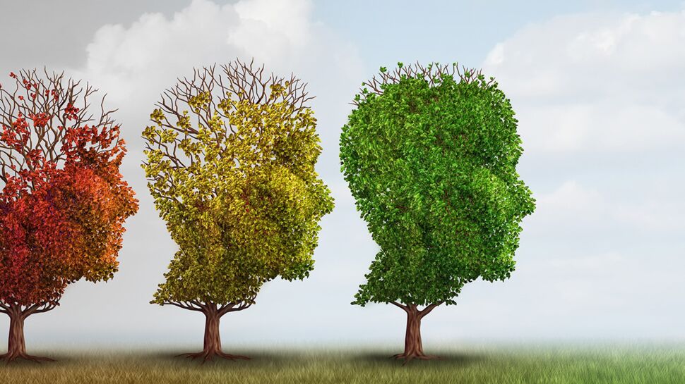 Alzheimer : les capacités cognitives des patients varient selon les saisons !