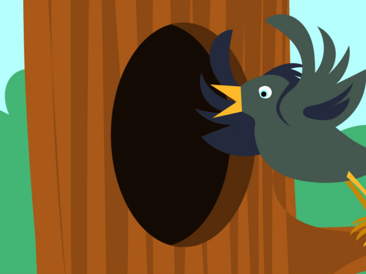 Au Secours J Ai Ete Victime D Un Vol Sans Effraction Femme Actuelle Le Mag