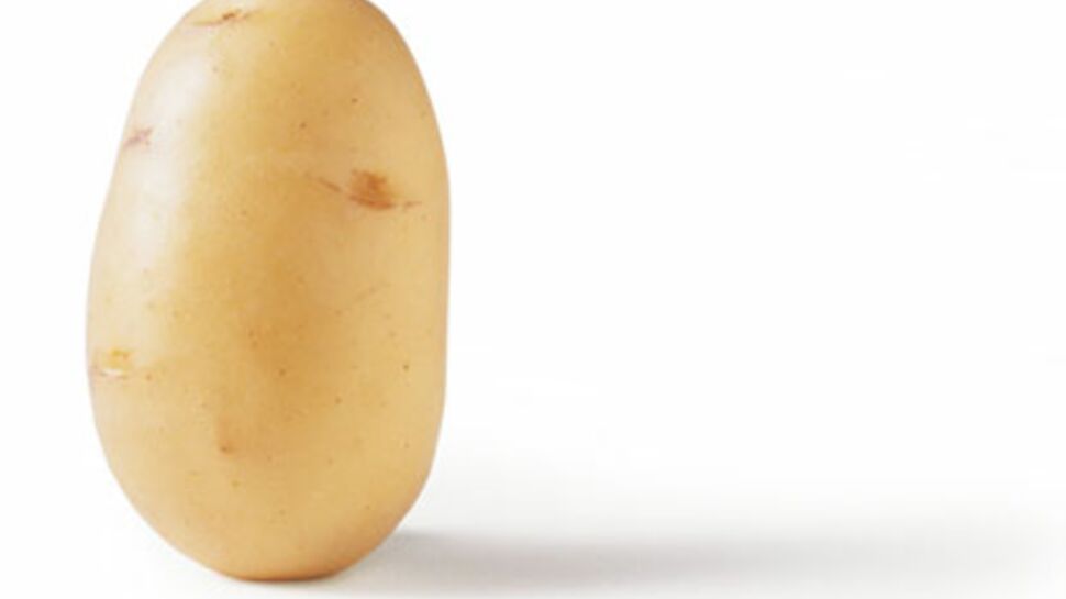 OGM : la patate de la discorde