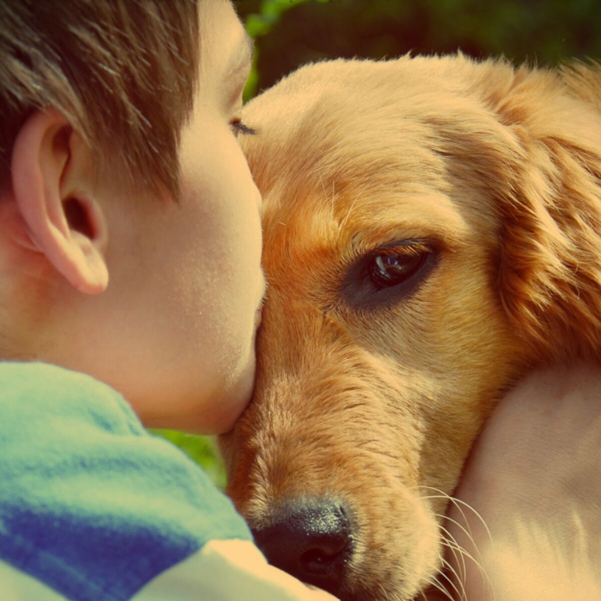 Ce chien a redonné le goût de vivre à un enfant handicapé : Femme Actuelle  Le MAG