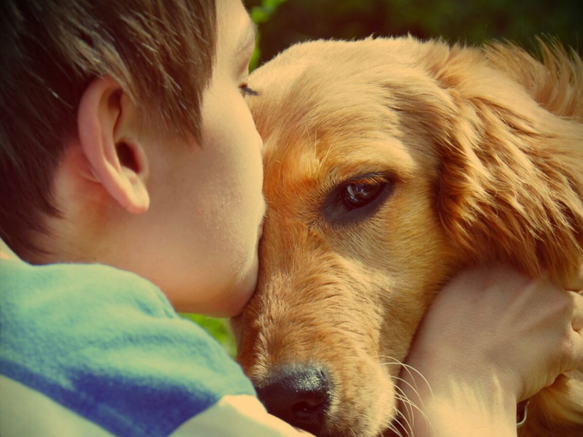 Ce chien a redonné le goût de vivre à un enfant handicapé : Femme Actuelle  Le MAG