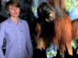 Sabrina Krief, primatologue, se bat pour les grands singes