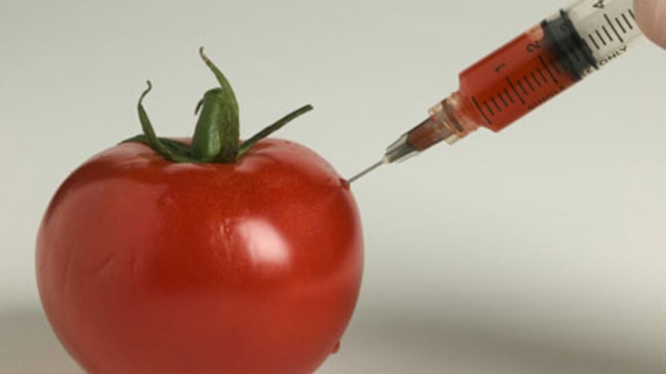Un pique-nique sans OGM