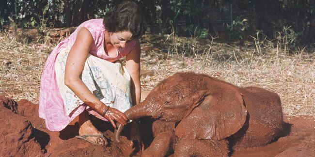 Daphné Sheldrick, une vie au service des éléphants