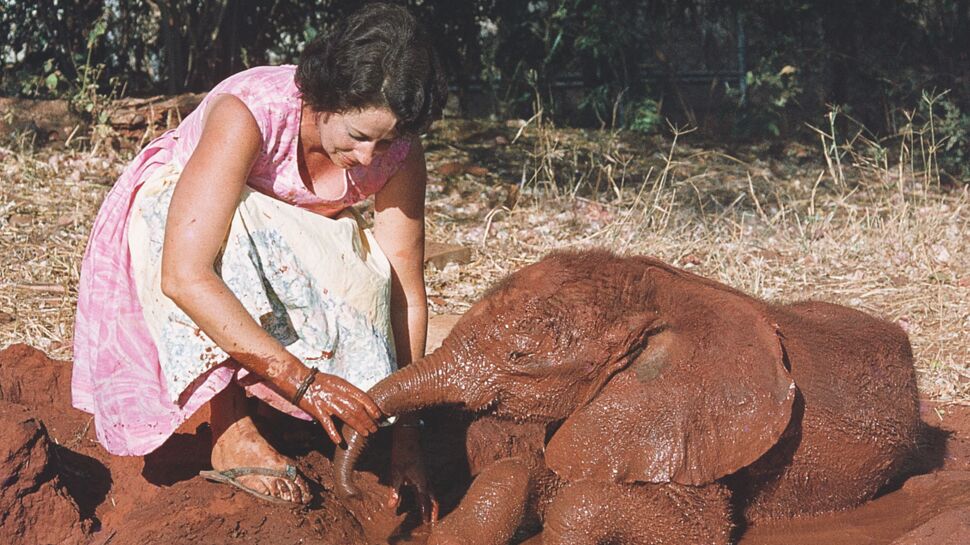 Daphné Sheldrick, une vie au service des éléphants