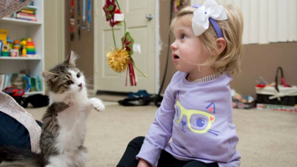 Amputée d’un bras, une fillette reçoit un chaton à trois pattes
