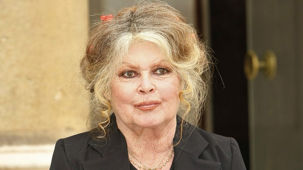 Brigitte Bardot demande à François Hollande de gracier Jacqueline Sauvage