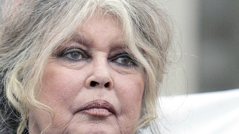 Brigitte Bardot s’exprime sur le harcèlement sexuel : “Beaucoup d’actrices font les allumeuses”