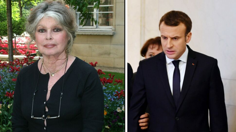 Brigitte Bardot, vexée par Emmanuel Macron, fustige son comportement « scandaleux et très déplacé »