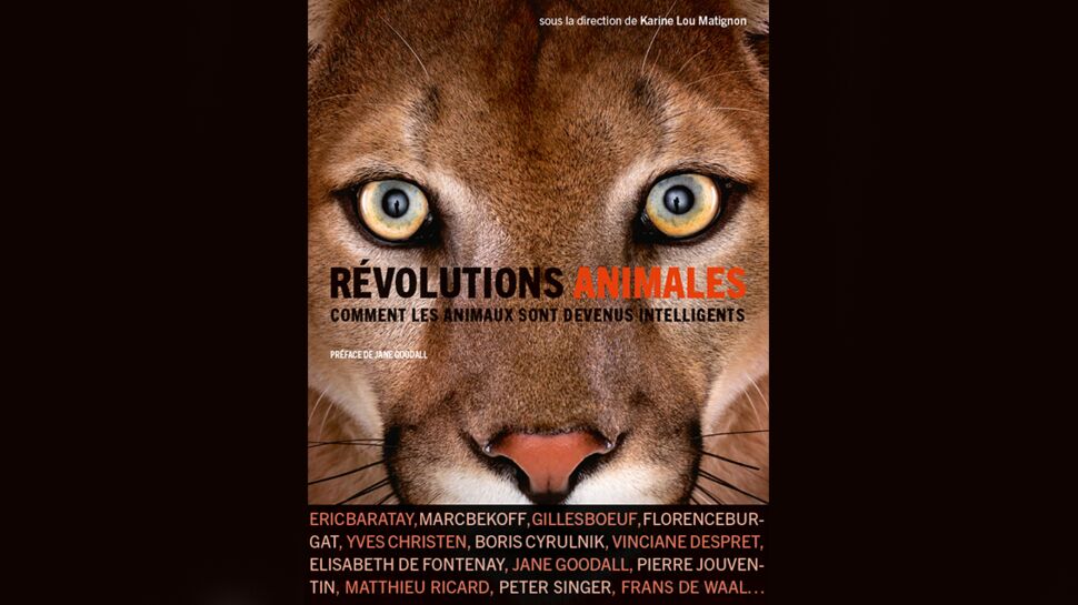 Condition animale, on se mobilise !