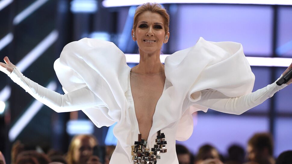 Céline Dion : les spectateurs furieux poussent un coup de gueule après son concert à Bordeaux