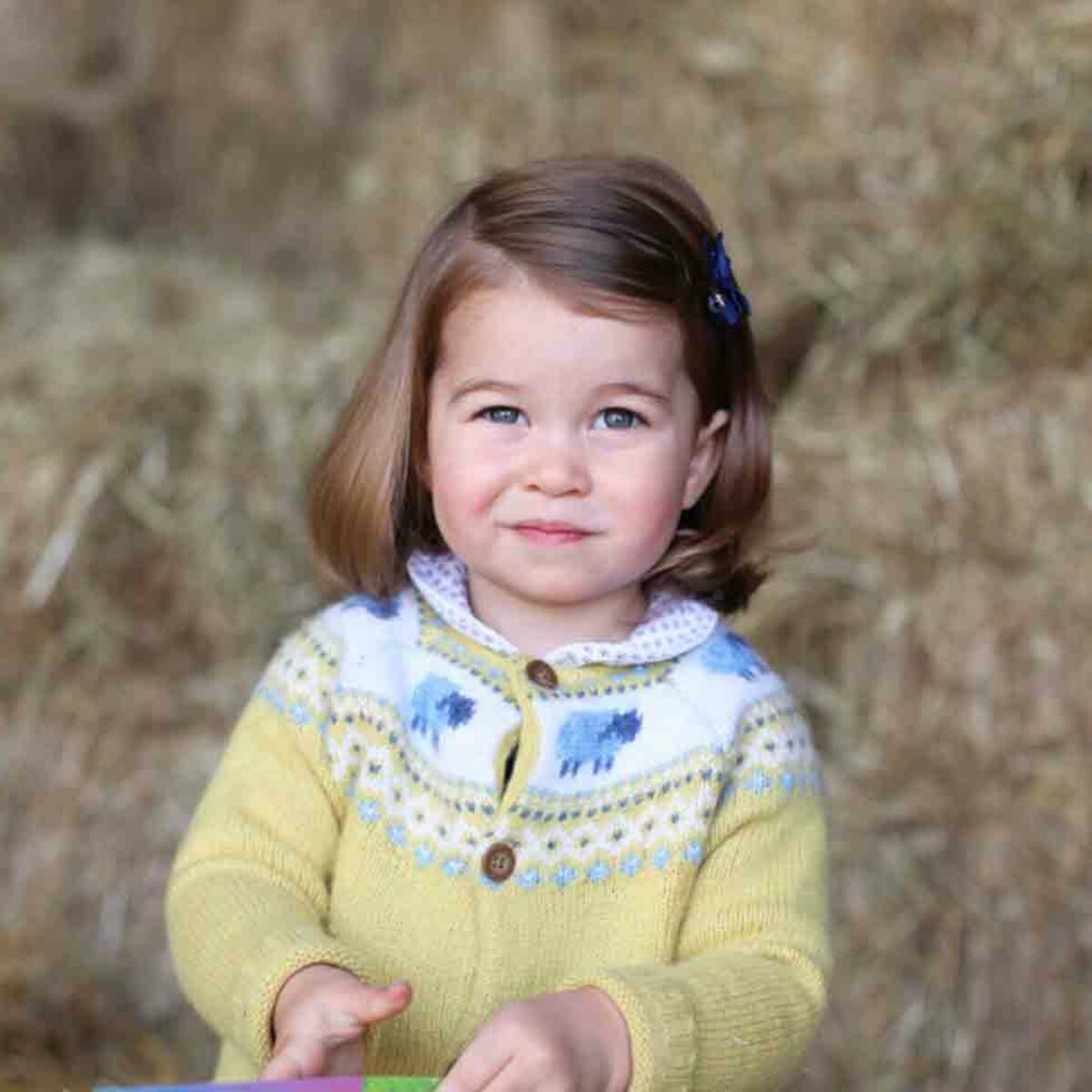 Photos - Charlotte, la fille de Kate et William, fête ses 3 ans : ses plus  jolis clichés : Femme Actuelle Le MAG