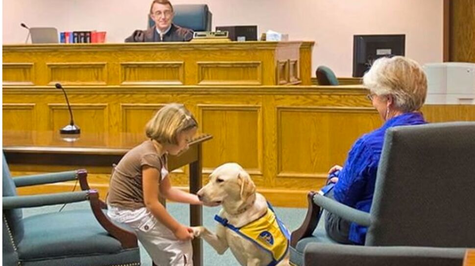 Des chiens pour aider à témoigner au tribunal