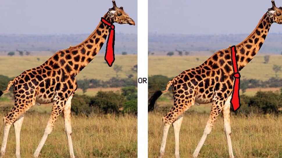 La question du jour : comment une girafe doit-elle porter la cravate?