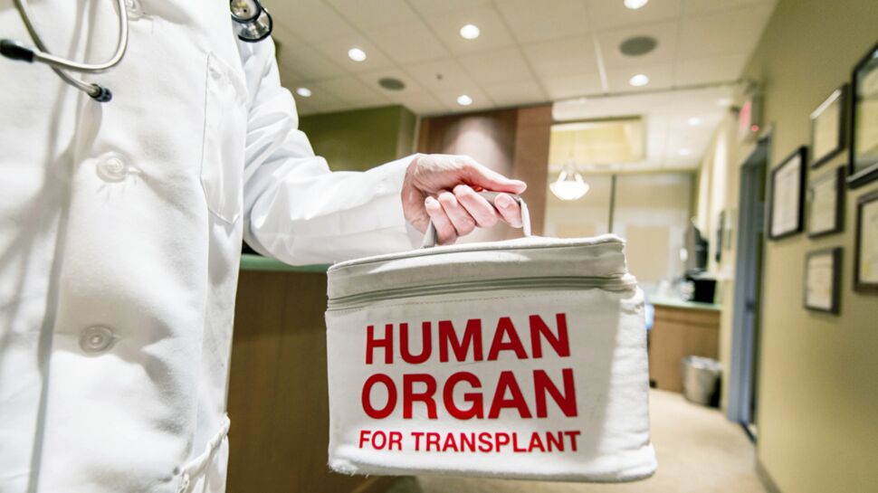 Plus besoin de l'avis des proches pour prélever des organes sur un défunt, qu'en pensez-vous?