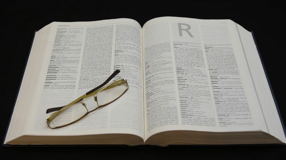 Découvrez quels nouveaux mots ont leur entrée dans le dictionnaire Robert 2018