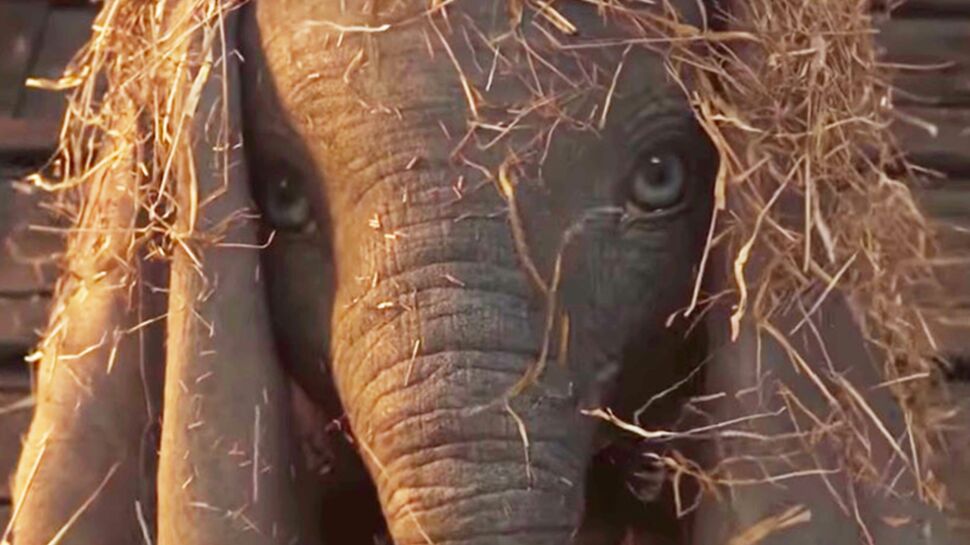 Vidéo - Disney dévoile la bande-annonce du film "Dumbo", de Tim Burton