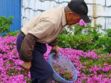 Photos : découvrez celui qui a planté des fleurs durant deux ans pour sa femme aveugle
