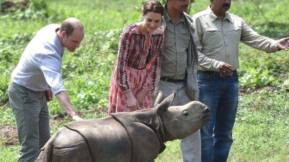 Photos guimauve : Kate Middleton donne le biberon à un bébé rhinocéros