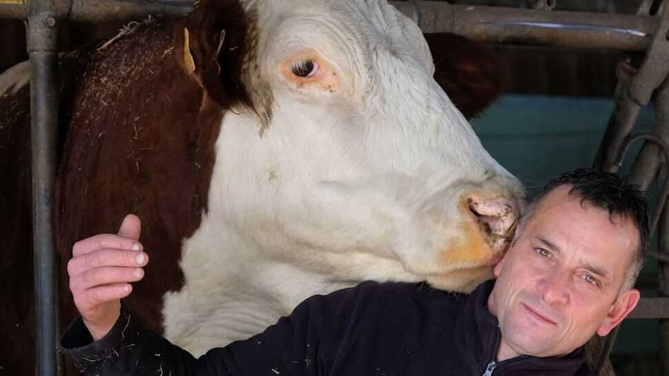 Photos - exclu : L'amour est dans le pré: on vous présente Jacques, éleveur de vaches en Auvergne
