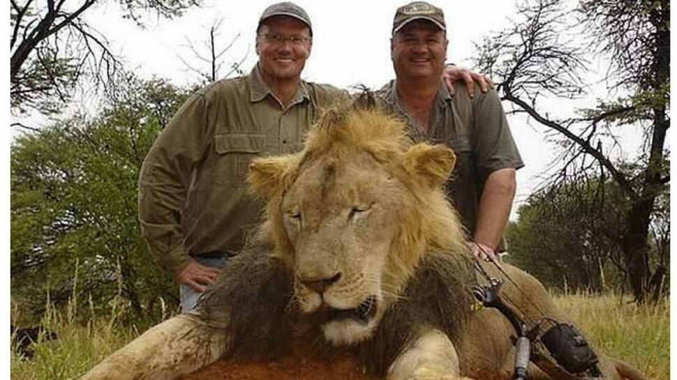 Qui est Walter Palmer, qui a sauvagement tué le lion Cecil au Zimbabwé ?