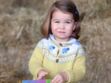 Kate Middleton et le prince William fêtent les 2 ans de Charlotte : ses plus jolies photos