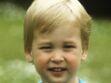 Photos - Le prince William fête ses 37 ans : son évolution en images
