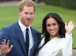 Vidéo - Le prince Harry et Meghan Markle fiancés, leur première apparition officielle