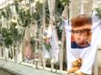 Mort du petit Bastien, tué dans un lave-linge: le procès de l'insoutenable