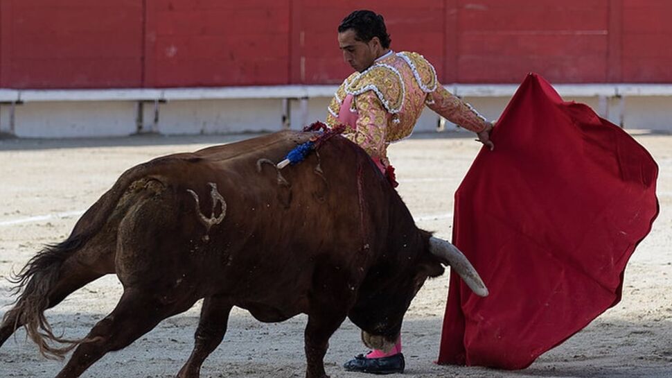 Un torero encorné lors d’une corrida dans les Landes est mort