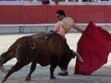 Un torero encorné lors d’une corrida dans les Landes est mort