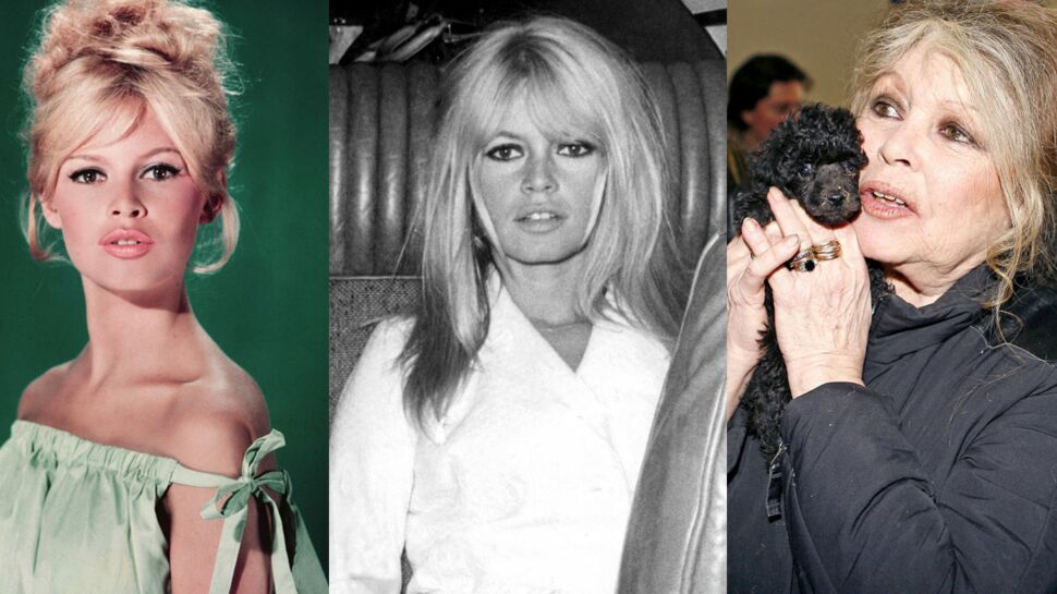 Brigitte Bardot fête ses 80 ans : l’album photo de sa vie