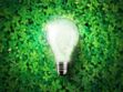 Énergies alternatives : que valent-elles ?