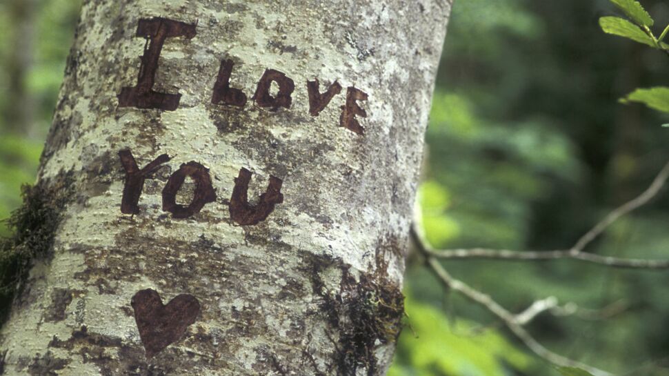 50 manières de dire « je t’aime »