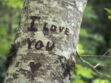 50 manières de dire « je t’aime »