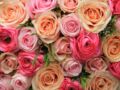 Comment composer un bouquet de fleurs pour une table de mariage ?