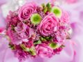 Décoration florale : comment choisir ses fleurs pour son mariage ?