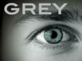 50 nuances de Grey : le quatrième tome est disponible !