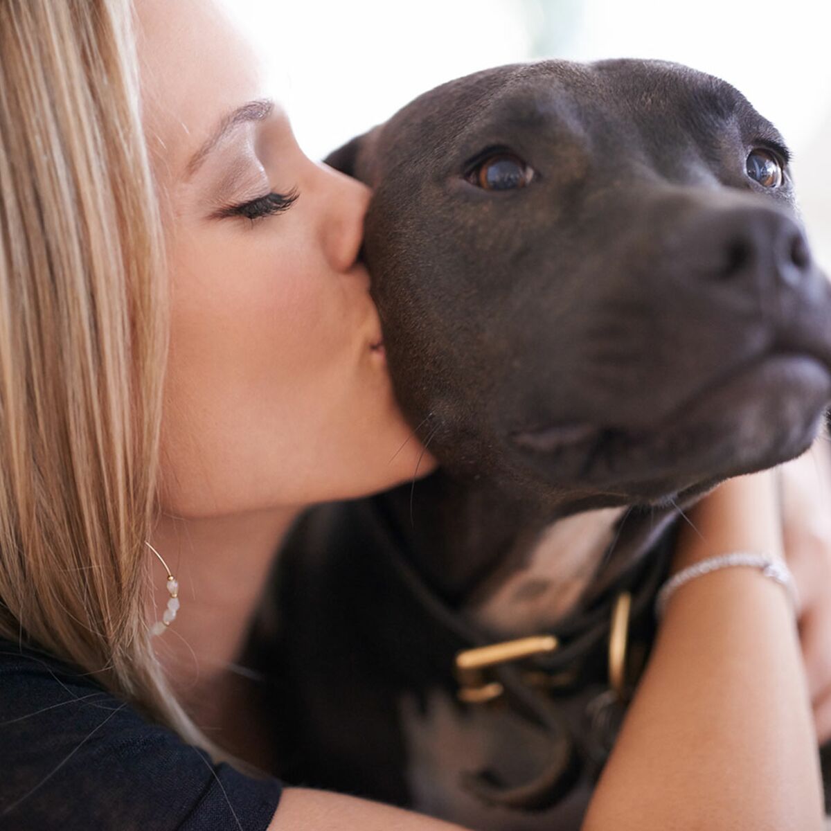 Saint-Valentin : les Français préfèrent la passer avec… leur animal de  compagnie : Femme Actuelle Le MAG