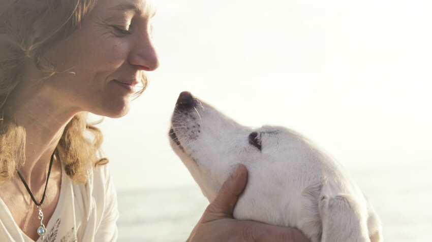 5 Cles Pour Communiquer Avec Son Chien Femme Actuelle Le Mag