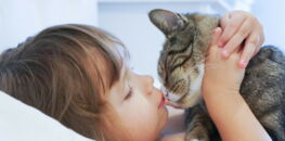 6 signes qui prouvent que votre chat vous aime