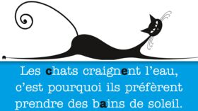 12 Citations A Glisser Dans Vos Vœux De Mariage Femme Actuelle Le Mag