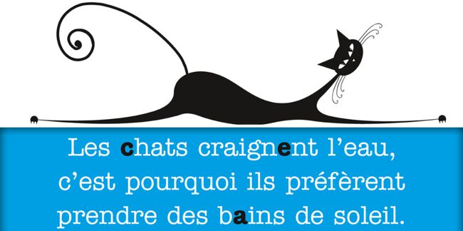 Citations Et Poemes Sur Les Chats Nos Preferes Femme Actuelle Le Mag