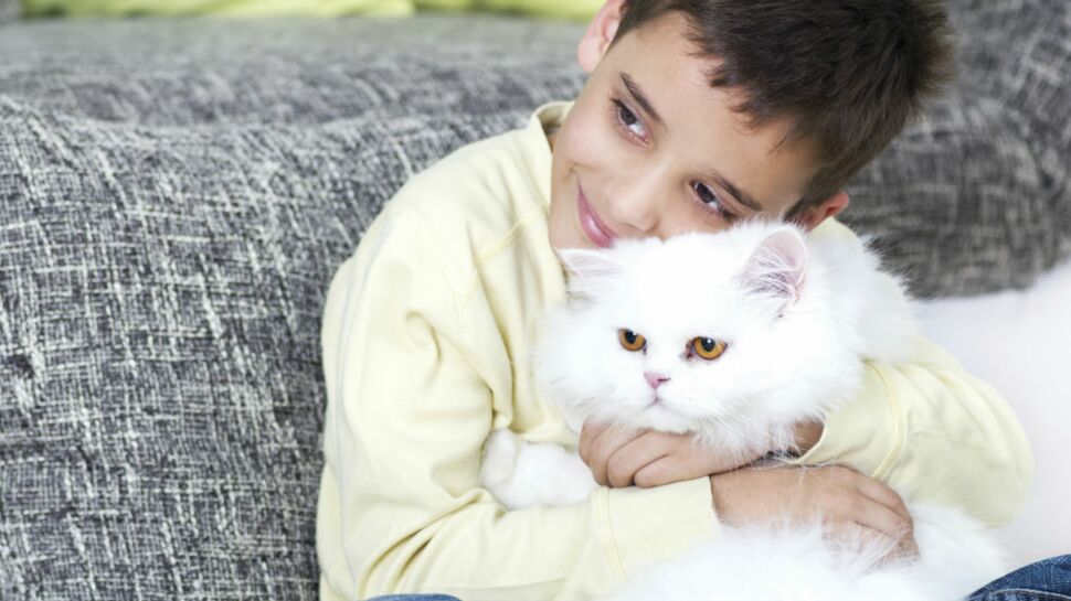 Cohabitation entre chat et enfant : les idées reçues en 10 points