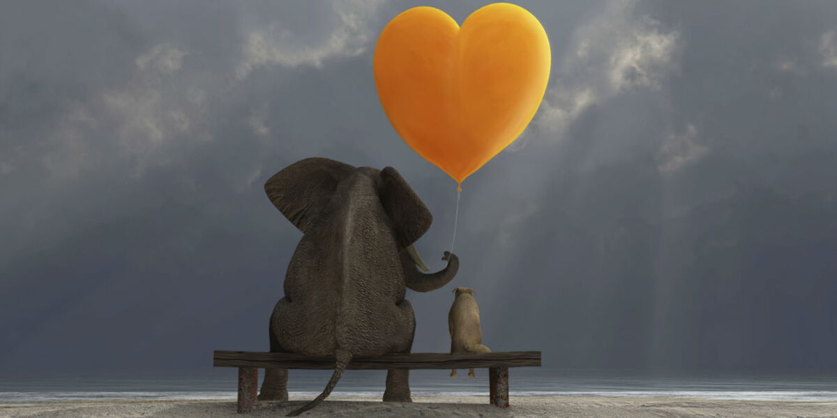 Reussir La Cohabitation Entre Mes Animaux De Compagnie Femme Actuelle Le Mag